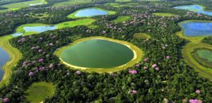 Parque Nacional do Pantanal Matogrossense