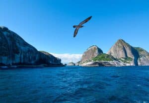 Arquipélago de Alcatrazes