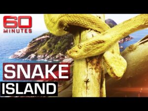 Snake Island