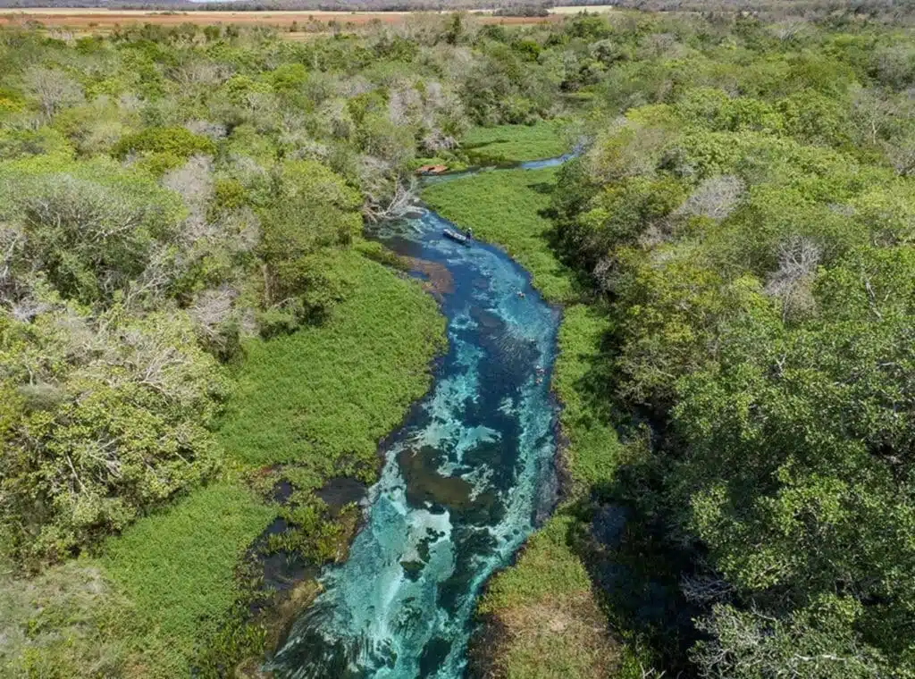 Rio Sucuri em Bonito MS Rio Sucuri em Bonito MS