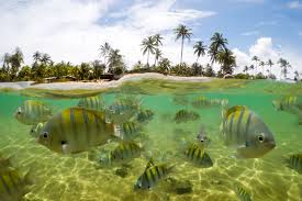 Barra Grande - Maraú