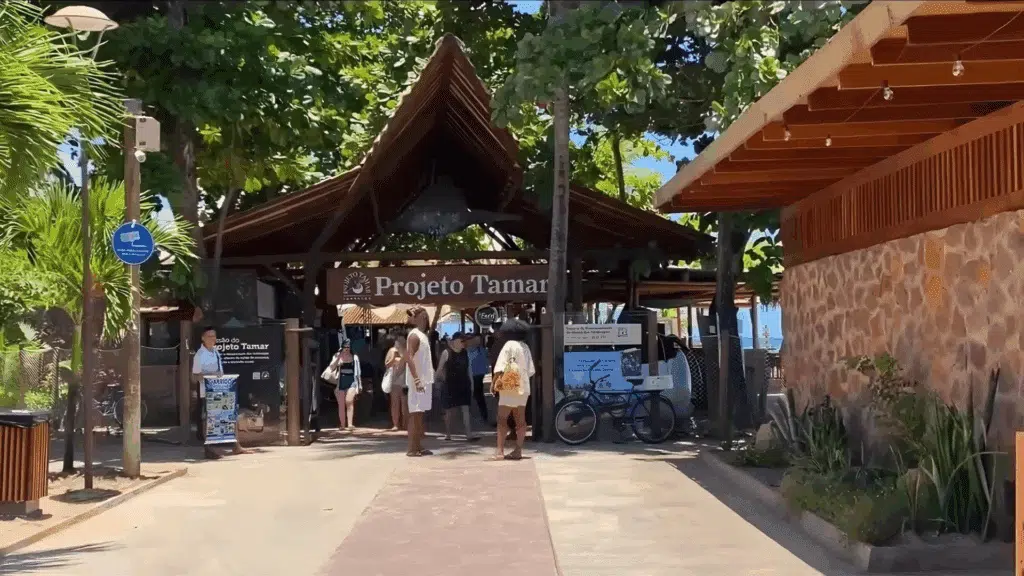 Projeto Tamar - Praia do Forte na Bahia Projeto Tamar - Praia do Forte na Bahia