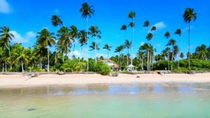 Praia do Patacho em Alagoas