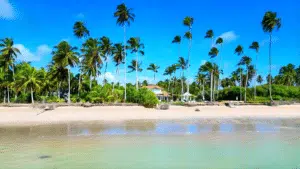 Praia do Patacho em Alagoas